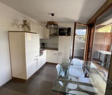 Location Appartement 1 pièce 33m² SAMOENS 74340 - Photo 3