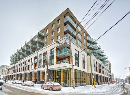 Rue Eleanor, H3C 0T5, Montréal - Photo 5