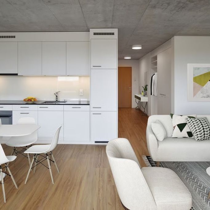 2.5 Zimmer, 57 m², 3. Stock - Foto 1