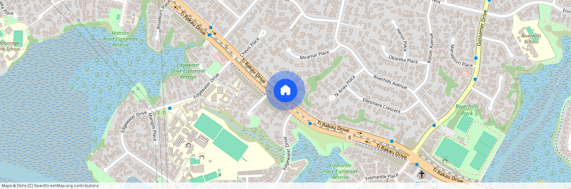 162A Ti Rakau Drive, Pakuranga, Manukau City