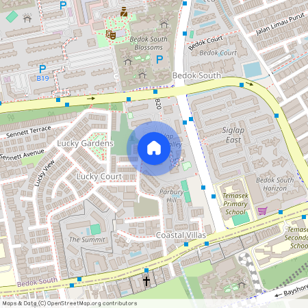 69 Bedok South Avenue 3 (460069), Singapore