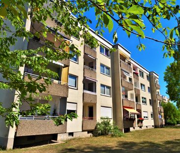 2-Zimmer-Wohnung mit Balkon in Frankenthal (Pfalz) mieten - Photo 2