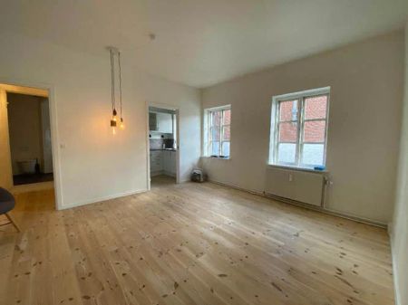 2 vær. lejlighed til leje i Kolding. 54m2 - Photo 2