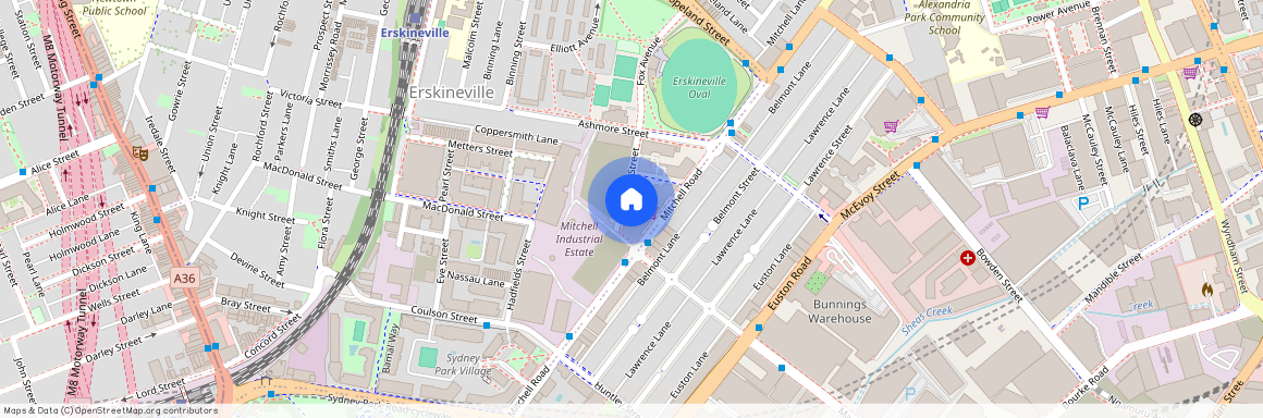 311/4 Foundry Street, Erskineville NSW 2043