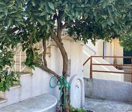 Μονοκατοικία για ενοικίαση - Κύμη, - Photo 4