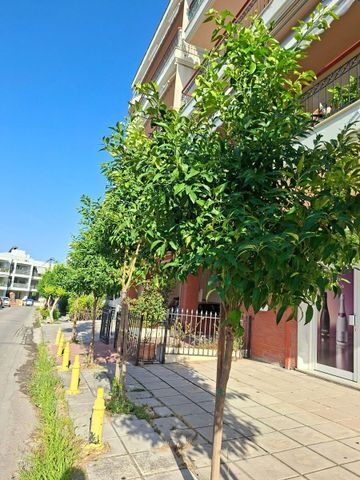 Διαμέρισμα για ενοικίαση Κέντρο (Θέρμη) - Photo 4