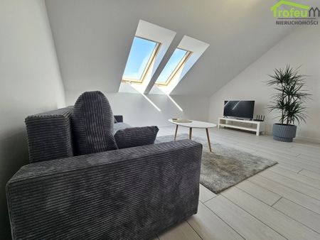 Świecie - Zdjęcie 3