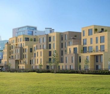 1 Bed Flat, Axio Way, E3 - Photo 6