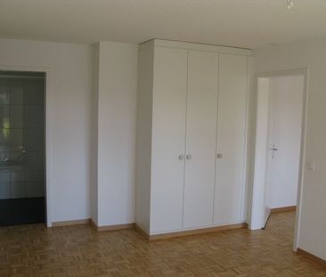 Wohnung mit grossem Balkon und eigenem ökologischen Strom - Photo 5