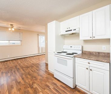 Pioneer Apartments - Photo 2