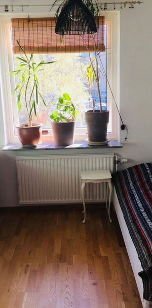 Dahlströmsgatan, Göteborg - Foto 1