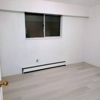 Bright, Spacious & Renovated 2-Bedroom Suite - Photo 4