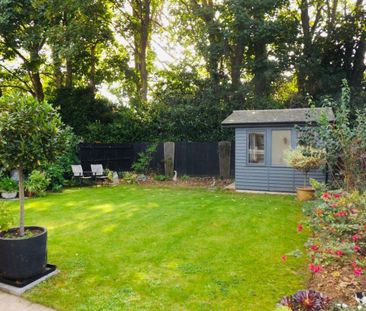 3 bedroom house to rent - Photo 1