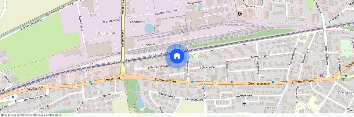 8500, Frauenfeld, Schönenhofstrasse, 4