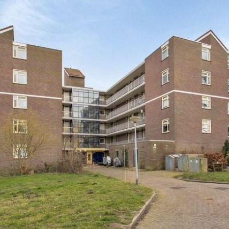 Dijkmeent, 1357 Almere, Nederland - Photo 3