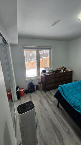 For Lease - 194 Eaglecrest Street Unit# BASEMENT, Kitchener, Ontario - Photo 3