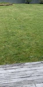 Comfortable Family Living with Generous Outdoor Space - Photo 3