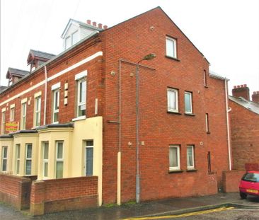 Great Apartment, 44b Damascus Street, BT71QA, Belfast - Photo 3