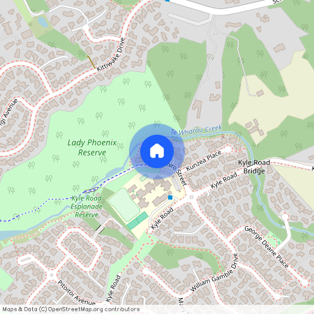 17 Miromiro Street, Greenhithe, North Shore City