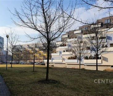 Pronájem nadstandartního bytu 3+kk s šatnou a 30 m - Фото 2