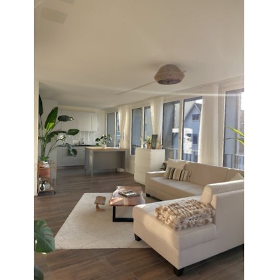 2½ Zimmer-Wohnung in Pratteln (BL), möbliert, auf Zeit - Foto 1