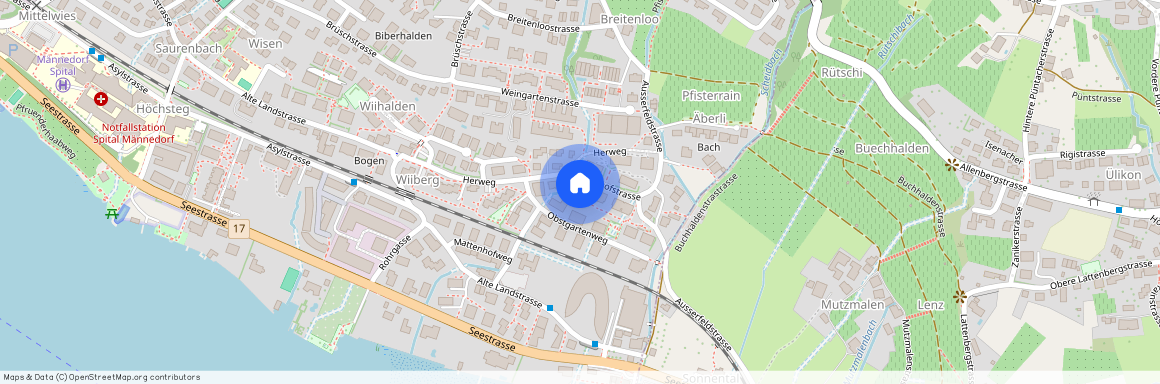 Feldhofstr. 2, 8708, Männedorf