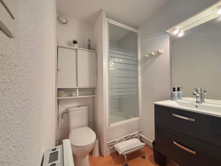 Location Appartement 1 pièce 19m² LES SABLES D’OLONNE 85180 - Photo 4