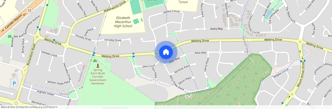 81 Welling Drive, Narellan Vale NSW 2567