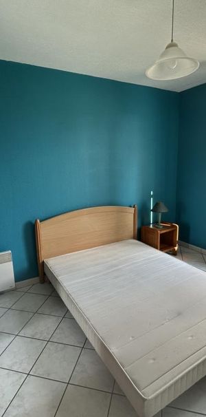 Location Appartement 1 pièce Meublé 24m² LE BREUIL 71670 - Photo 1