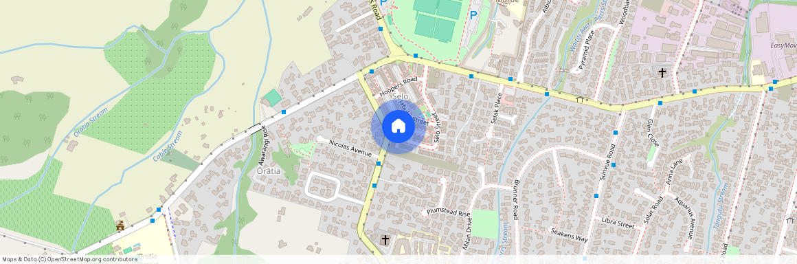 6 Selo Street, Glen Eden, Waitakere City