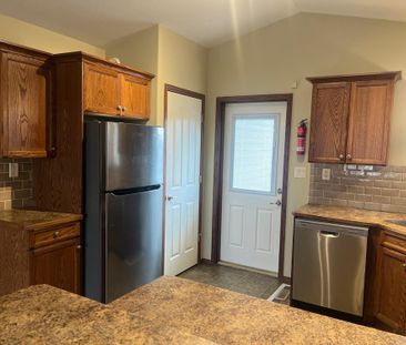 Full House in the lovely suburb of Inglewood - Photo 6