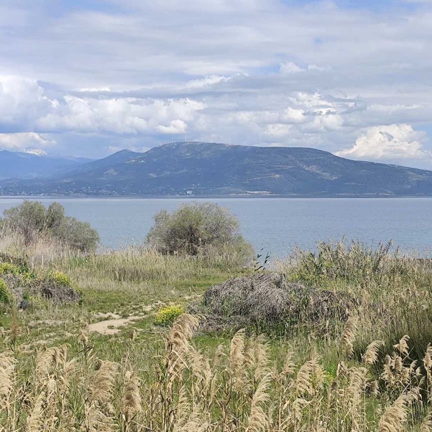 Διαμέρισμα για ενοικίαση Άγιοι Απόστολοι (Κάλαμος) - Photo 1
