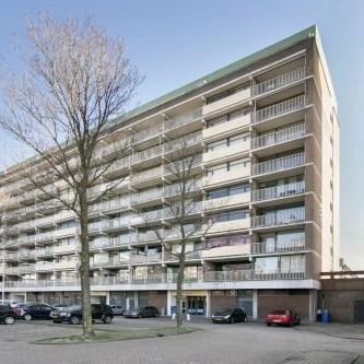 Bagijnenwaard 0ong, 2716 CW Zoetermeer, Nederland - Foto 1