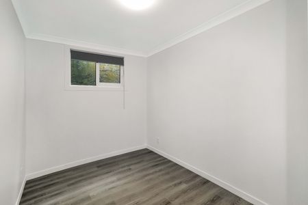 Aro Valley , Spacious 5 bedroom flat - Photo 3