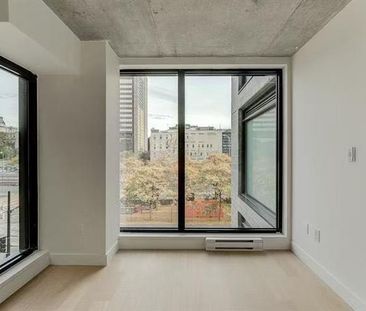 1 Av. Viger O. - Photo 6