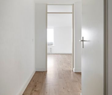 Hermelijnvlinder 95, Vlindertuin, 1113LC, Diemen - Photo 3