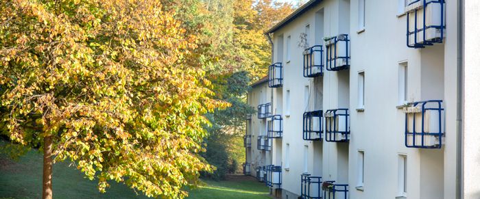 3-Zimmer-Wohnung in Siegen Dillnhütten - Foto 1