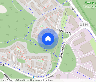 Pepparedstorg 18 C - Photo 1