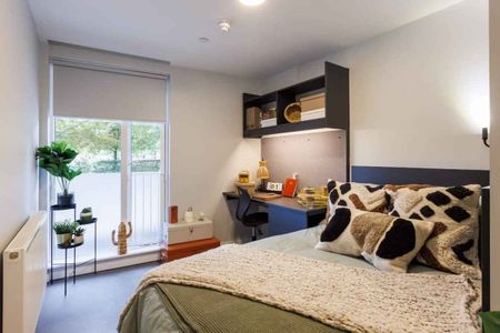 Luxury Studio - Photo 5