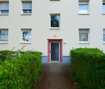 2-Zimmer-Wohnung in Kaiserslautern - Photo 3