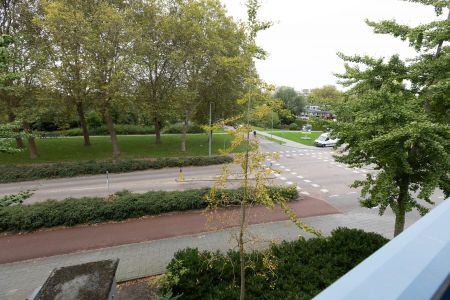 Etienne de Bouterstraat 13, Het Lage Land, 3067AR, Rotterdam - Photo 3