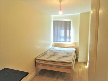 Great Apartment, 53b Agincourt Avenue, University Quarter, Belfast - Photo 4