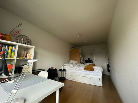 Kamer eigen sanitair en terras - Central Park - Photo 1