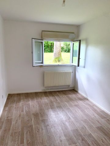 Appartement T2 refait à neuf à Saint Amand en Puisaye - Photo 2