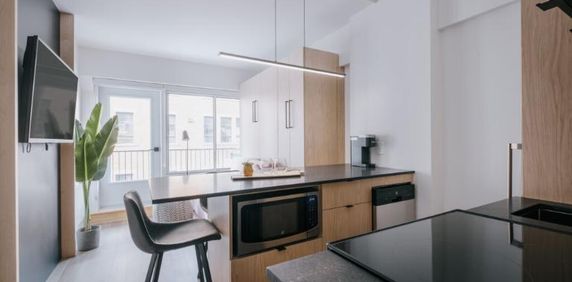 Loft entièrement meublé à louer Saint-Jean-Baptiste juillet 2026 - Photo 2