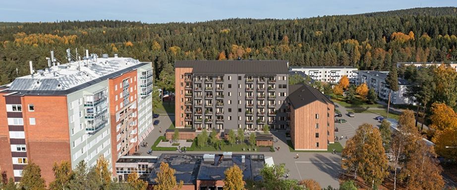 Dirigentvägen 66 - Foto 1