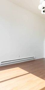 181 GERRARD ST. E. #401 - SPACIOUS,1BR/1BATH, DECK, STEPS TO TTC! - Photo 4