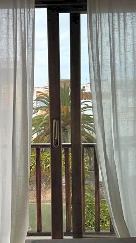 GREAT APARTMENT IN PUERTO DE LA CRUZ! - Photo 5