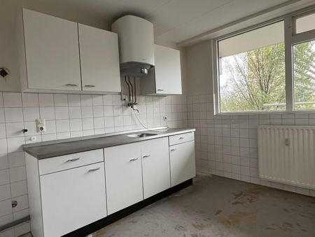 Te huur: Appartement Heiloostraat in Den Haag - Photo 3