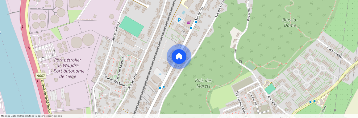 Rue De Visé, 680, 021, 4020, Liège